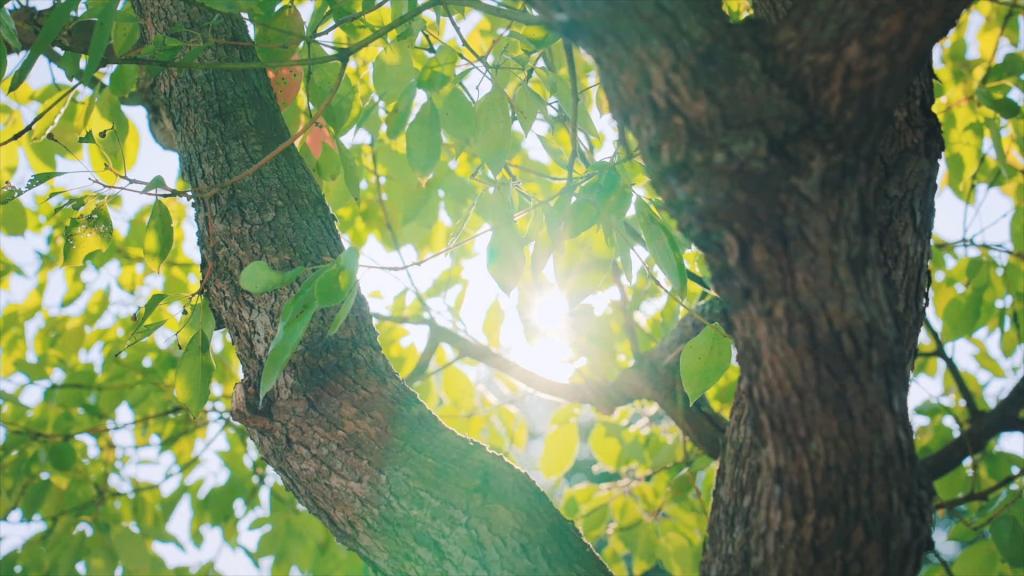 �й���888����(6008-VIP��֤)��վ-��¼���