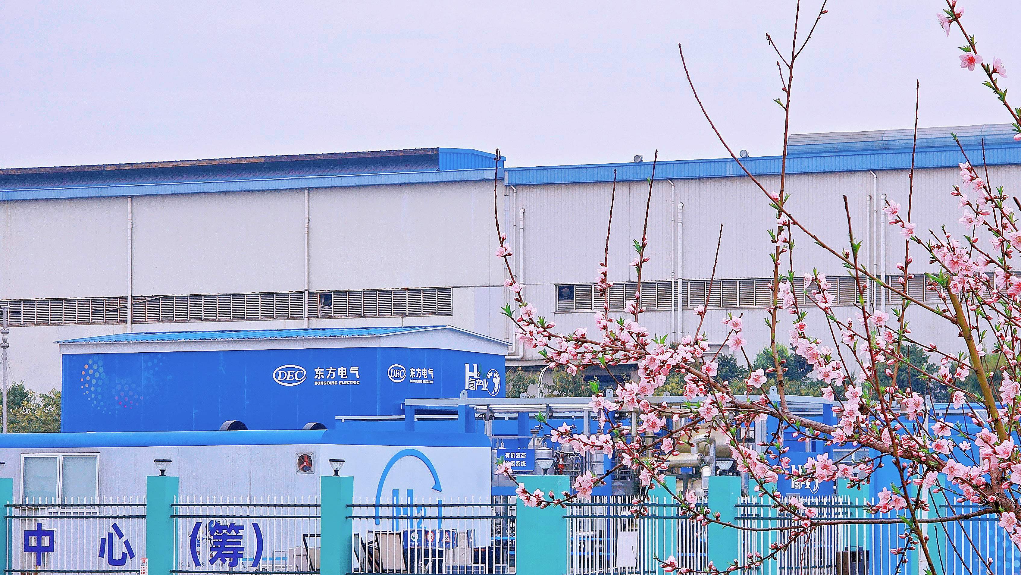 �й���888����(6008-VIP��֤)��վ-��¼���