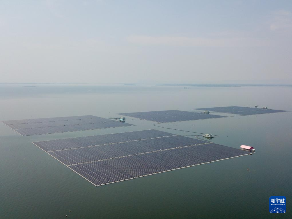 �й���888����(6008-VIP��֤)��վ-��¼���