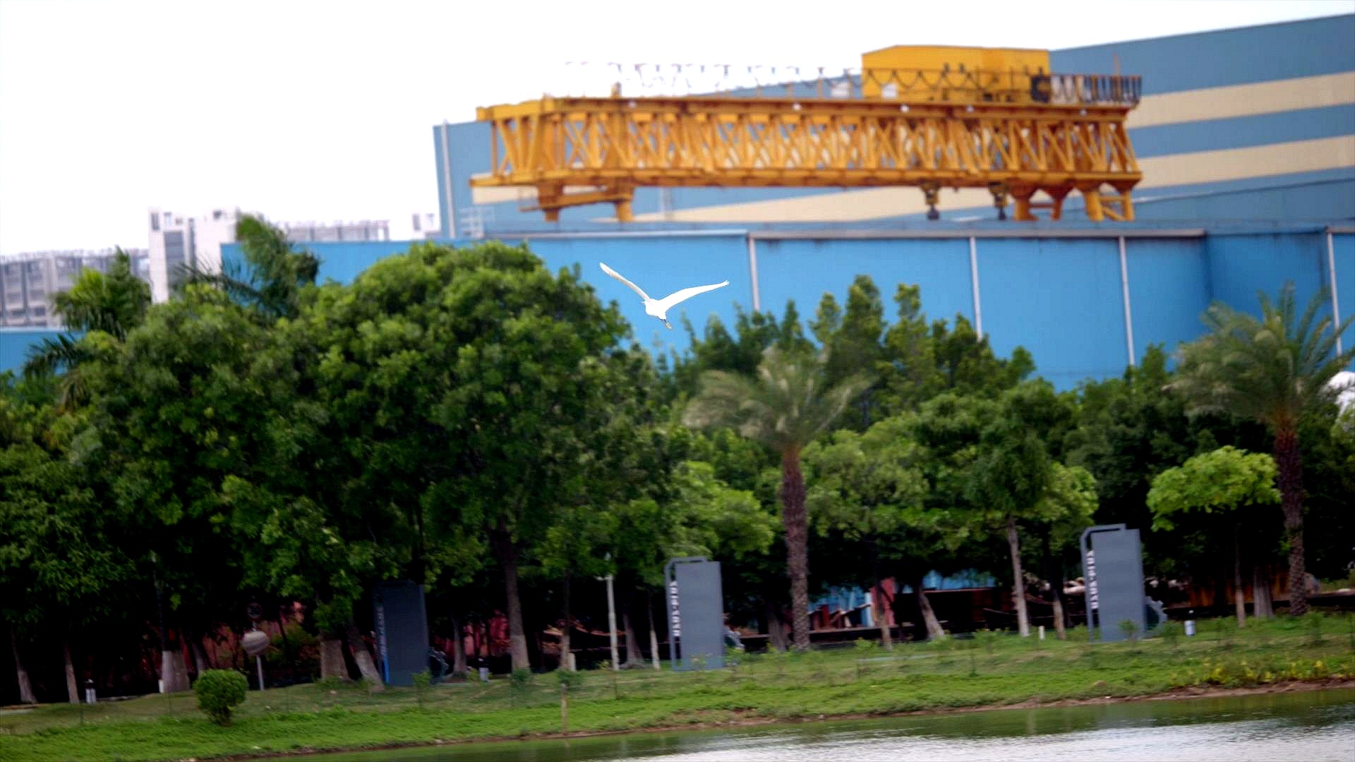 �й���888����(6008-VIP��֤)��վ-��¼���