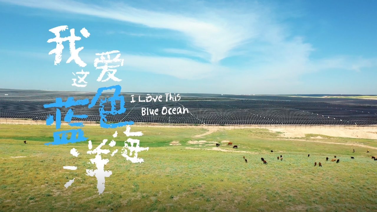 �й���888����(6008-VIP��֤)��վ-��¼���