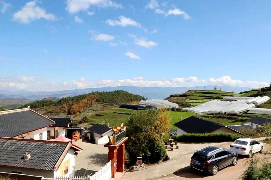 中国·888集团(6008-VIP认证)网站-登录入口