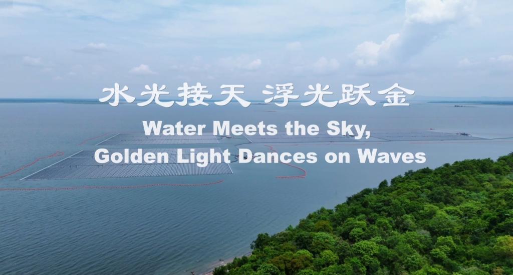 �й���888����(6008-VIP��֤)��վ-��¼���