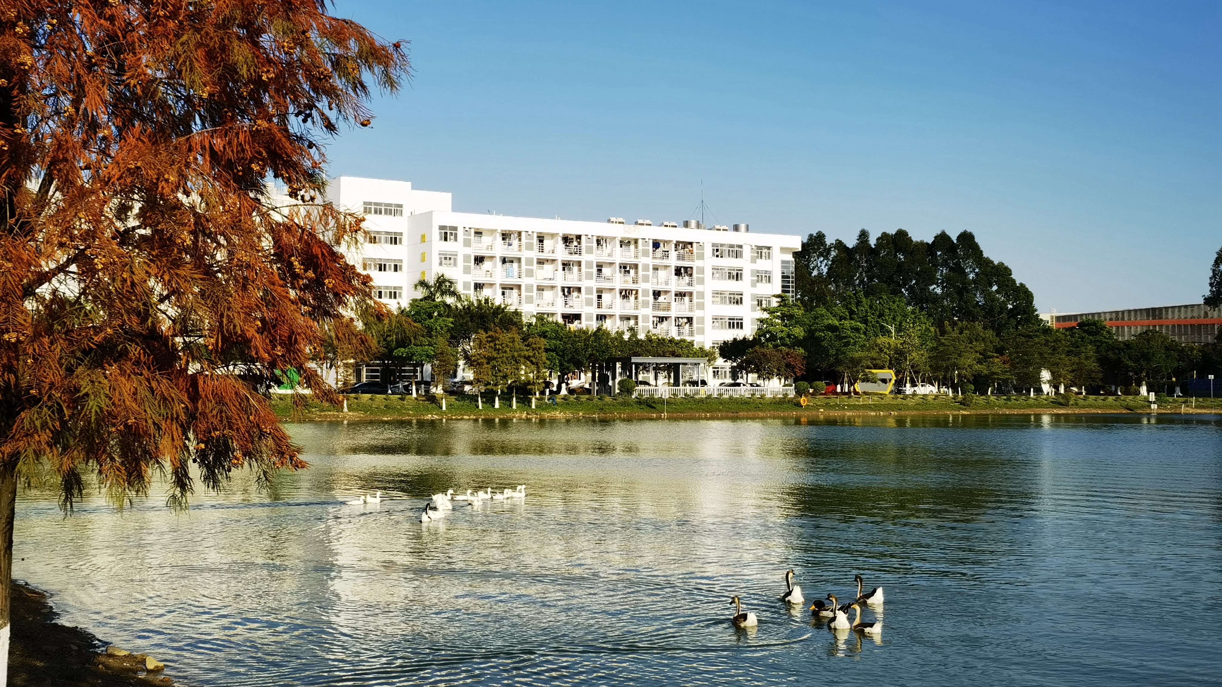 �й���888����(6008-VIP��֤)��վ-��¼���